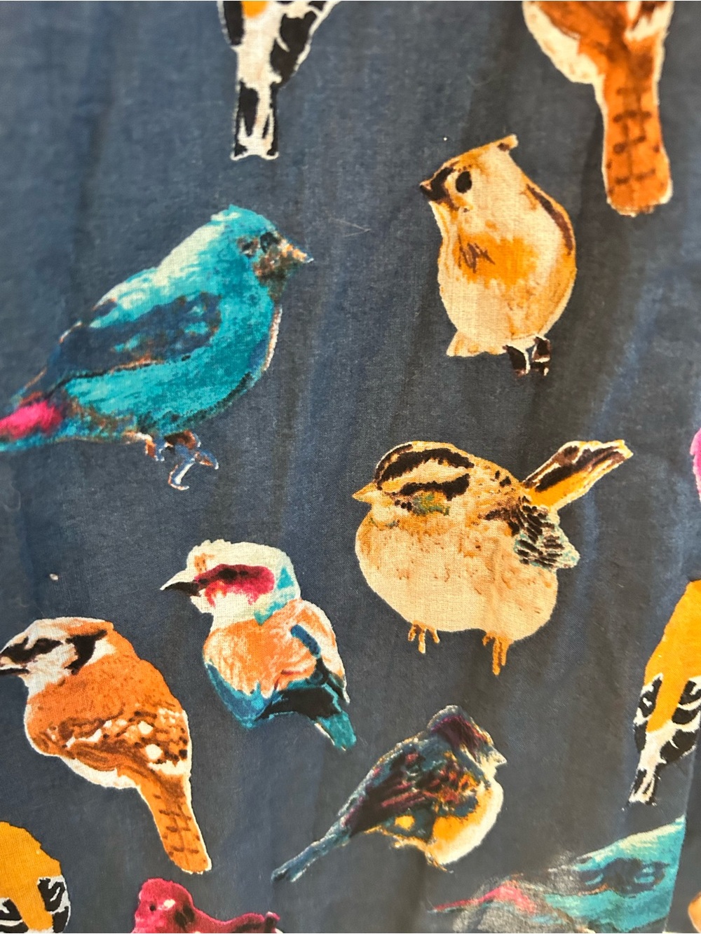 Maeve Native Birds Dress Blue Brown Size 4 - Picture 6 of 16